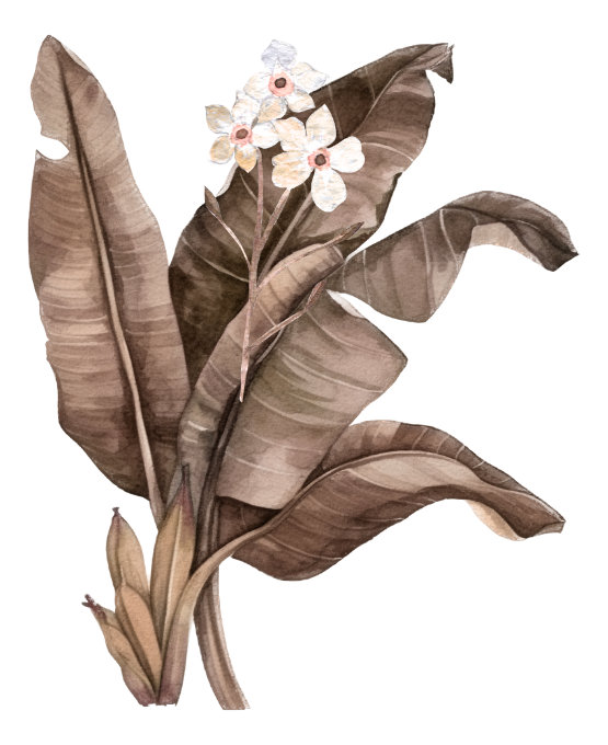 Web Invitation By Idzi